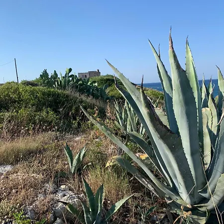 Villa Salento Villa Con Due Unita Abitative Indipendenti E Giardino A Due Passi Dal Mare Torre Ovo
