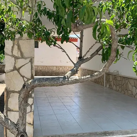Villa Salento Villa Con Due Unita Abitative Indipendenti E Giardino A Due Passi Dal Mare Torre Ovo